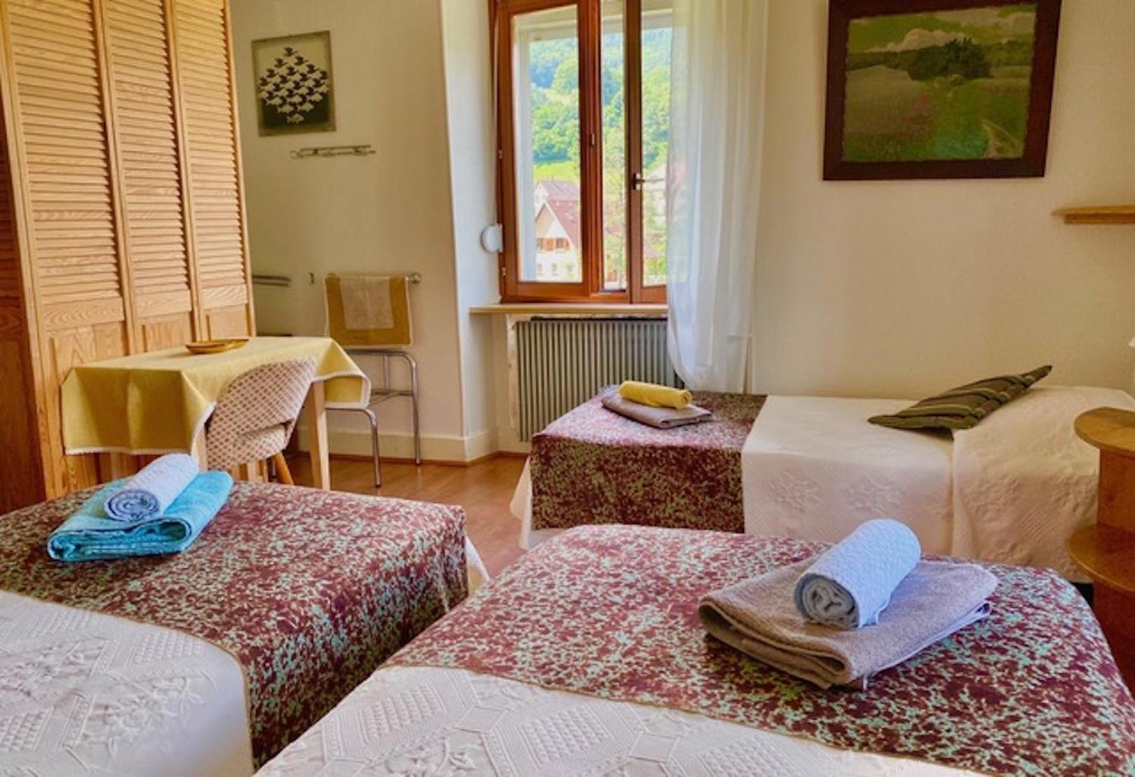 Appartements Maison Bellevue Munster  Dış mekan fotoğraf